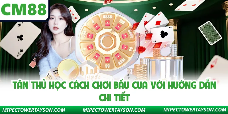 Tân thủ học cách chơi bầu cua với hướng dẫn chi tiết